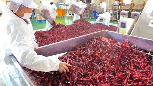 肉串加工厂爆料视频教程,视频教程带你轻松掌握肉串制作技巧